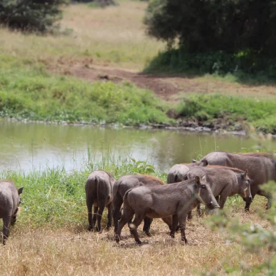 Nairobi Naitional (1)