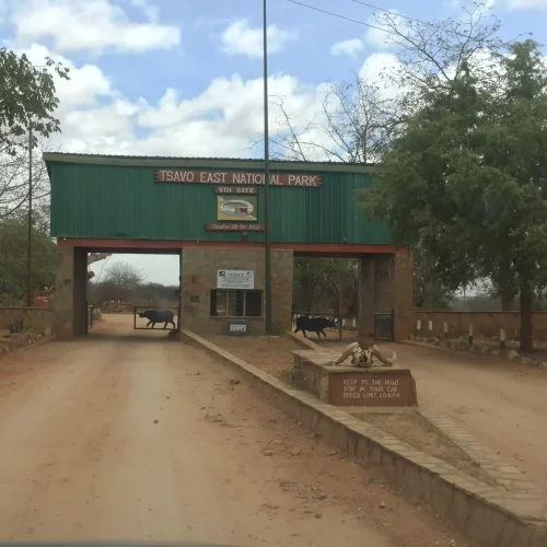 Tsavo National park (7)