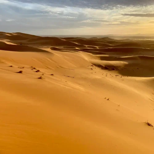 sahara desert (11)