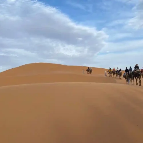 sahara desert (15)
