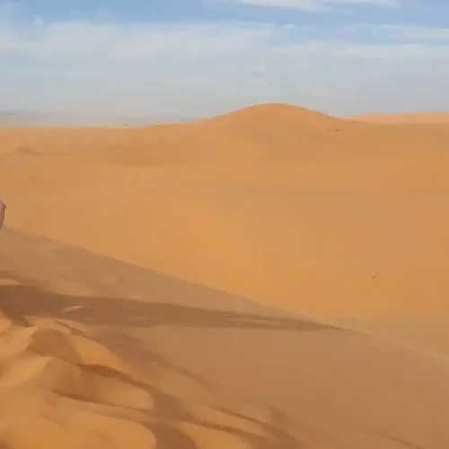sahara desert (16)